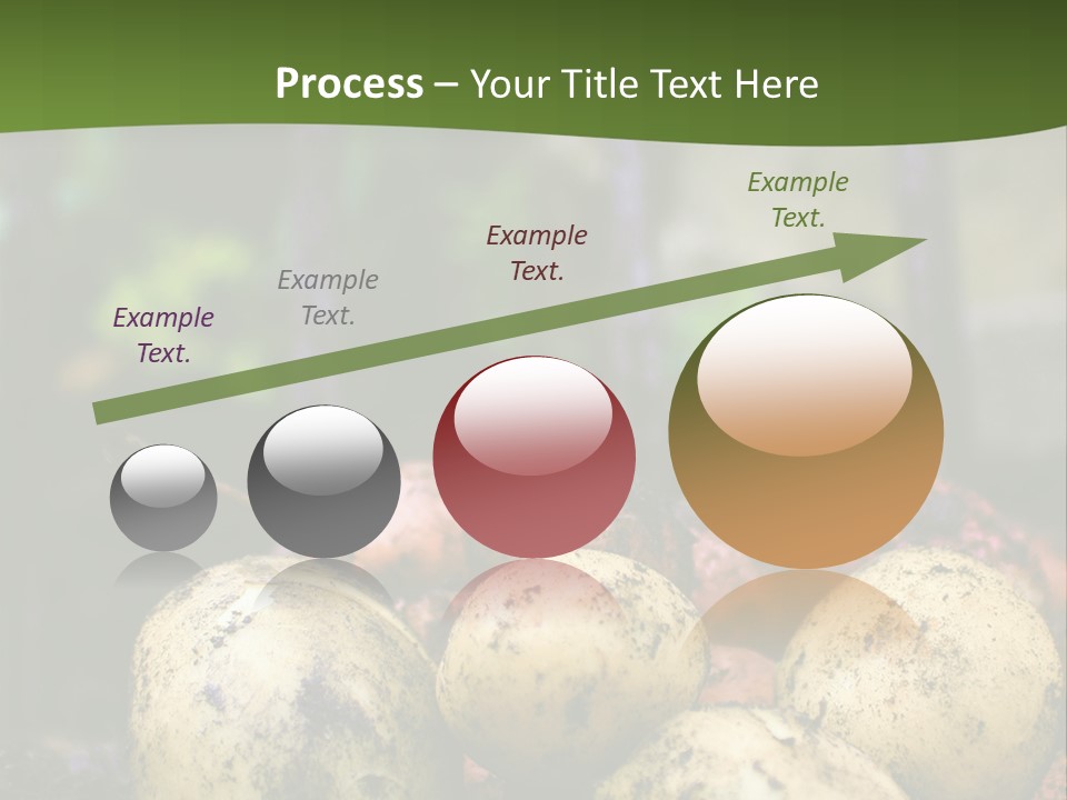 A First Harvest Of Organically Grown New Potatoes, Freshly Dug From The Ground Lying On Top Of The Soil, With A Garden Fork In The Background. PowerPoint Template