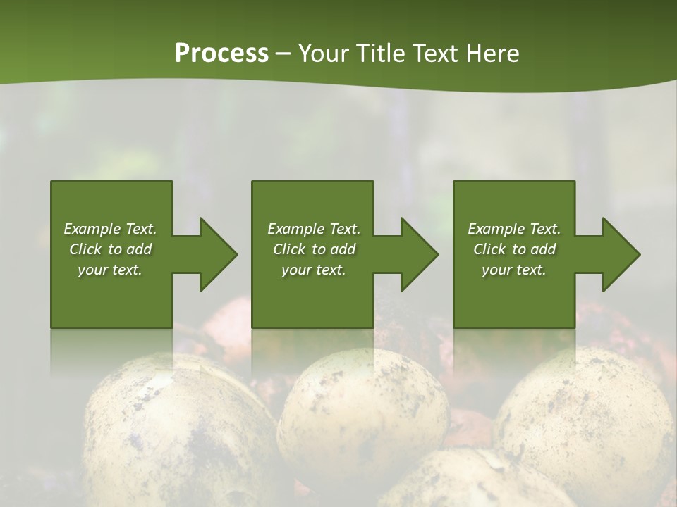 A First Harvest Of Organically Grown New Potatoes, Freshly Dug From The Ground Lying On Top Of The Soil, With A Garden Fork In The Background. PowerPoint Template