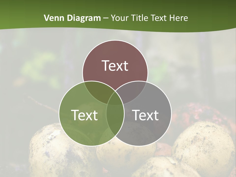A First Harvest Of Organically Grown New Potatoes, Freshly Dug From The Ground Lying On Top Of The Soil, With A Garden Fork In The Background. PowerPoint Template