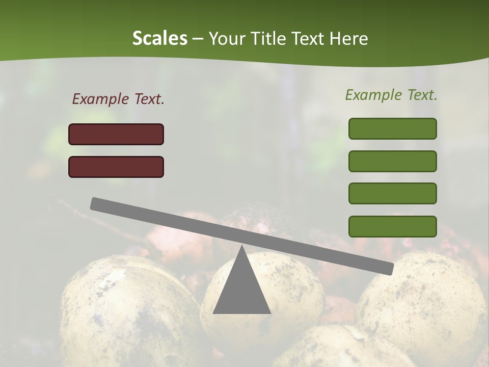 A First Harvest Of Organically Grown New Potatoes, Freshly Dug From The Ground Lying On Top Of The Soil, With A Garden Fork In The Background. PowerPoint Template