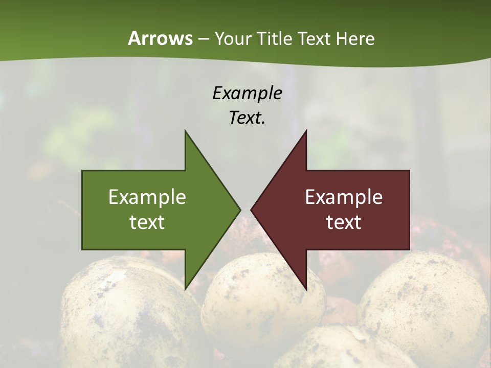 A First Harvest Of Organically Grown New Potatoes, Freshly Dug From The Ground Lying On Top Of The Soil, With A Garden Fork In The Background. PowerPoint Template