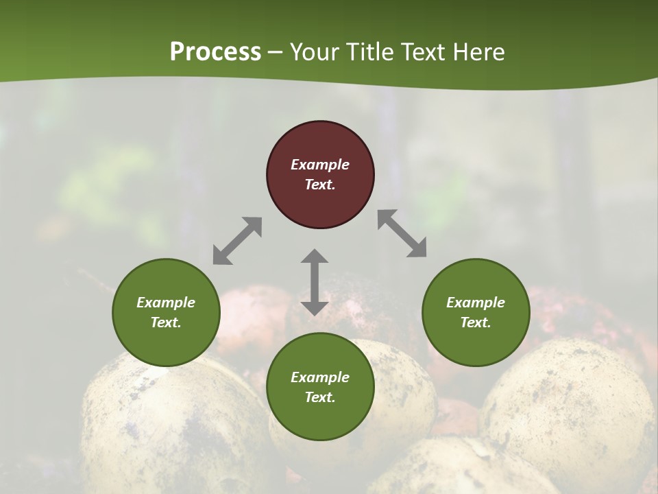 A First Harvest Of Organically Grown New Potatoes, Freshly Dug From The Ground Lying On Top Of The Soil, With A Garden Fork In The Background. PowerPoint Template
