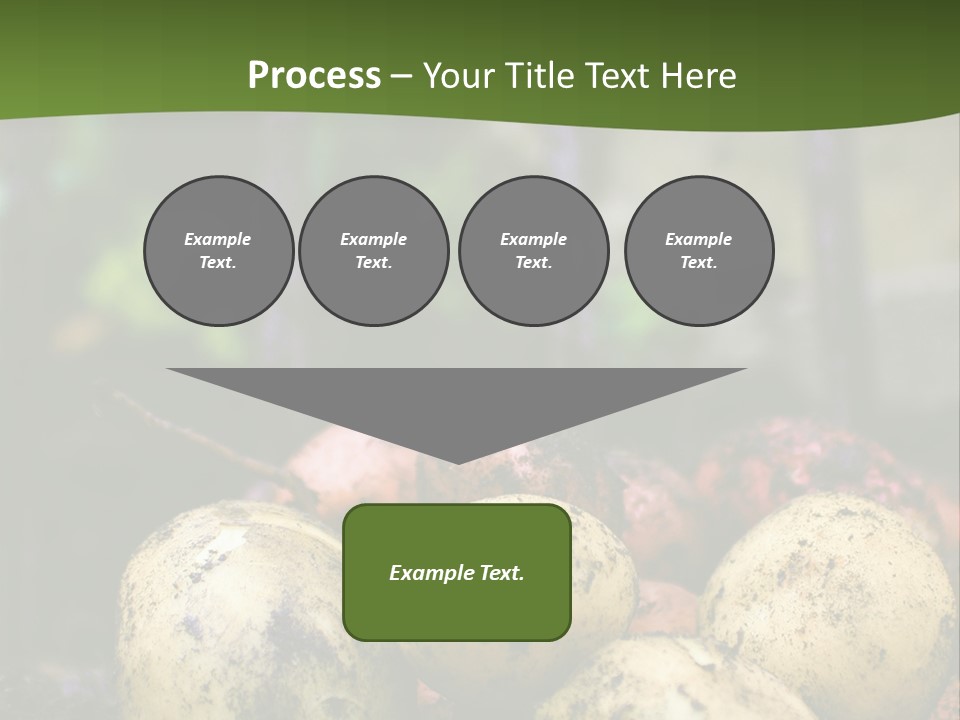 A First Harvest Of Organically Grown New Potatoes, Freshly Dug From The Ground Lying On Top Of The Soil, With A Garden Fork In The Background. PowerPoint Template