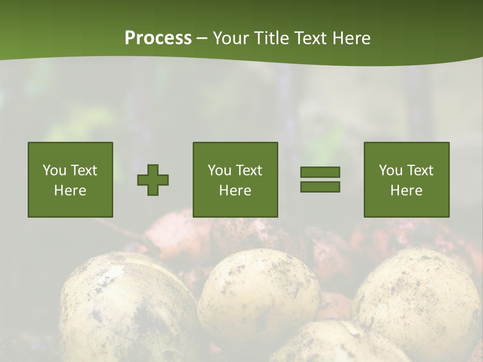 A First Harvest Of Organically Grown New Potatoes, Freshly Dug From The Ground Lying On Top Of The Soil, With A Garden Fork In The Background. PowerPoint Template