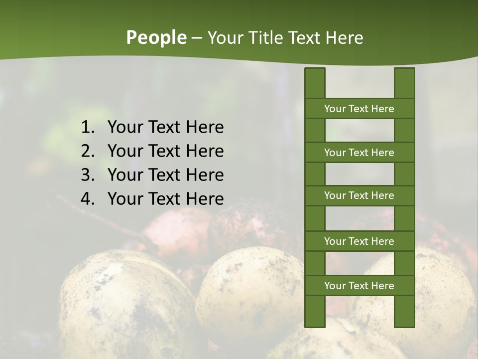 A First Harvest Of Organically Grown New Potatoes, Freshly Dug From The Ground Lying On Top Of The Soil, With A Garden Fork In The Background. PowerPoint Template