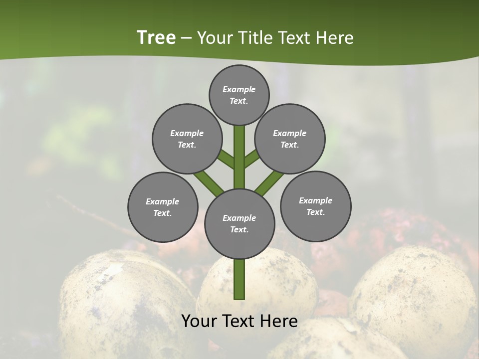 A First Harvest Of Organically Grown New Potatoes, Freshly Dug From The Ground Lying On Top Of The Soil, With A Garden Fork In The Background. PowerPoint Template