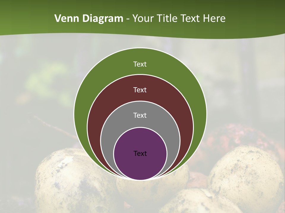 A First Harvest Of Organically Grown New Potatoes, Freshly Dug From The Ground Lying On Top Of The Soil, With A Garden Fork In The Background. PowerPoint Template