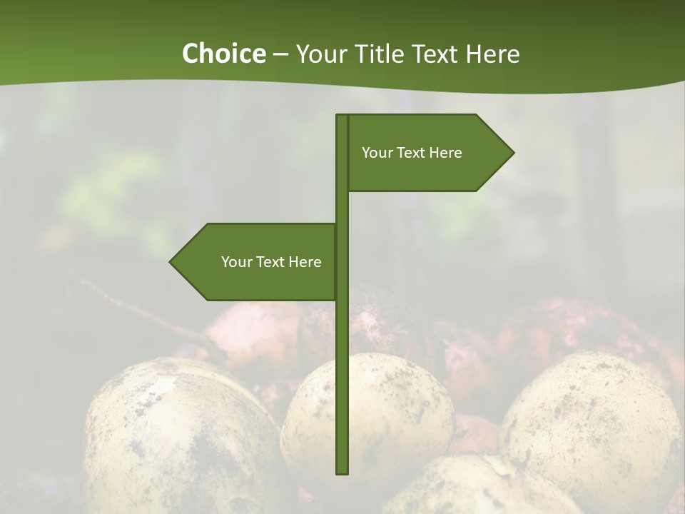 A First Harvest Of Organically Grown New Potatoes, Freshly Dug From The Ground Lying On Top Of The Soil, With A Garden Fork In The Background. PowerPoint Template