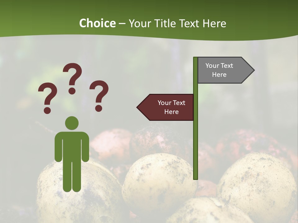 A First Harvest Of Organically Grown New Potatoes, Freshly Dug From The Ground Lying On Top Of The Soil, With A Garden Fork In The Background. PowerPoint Template