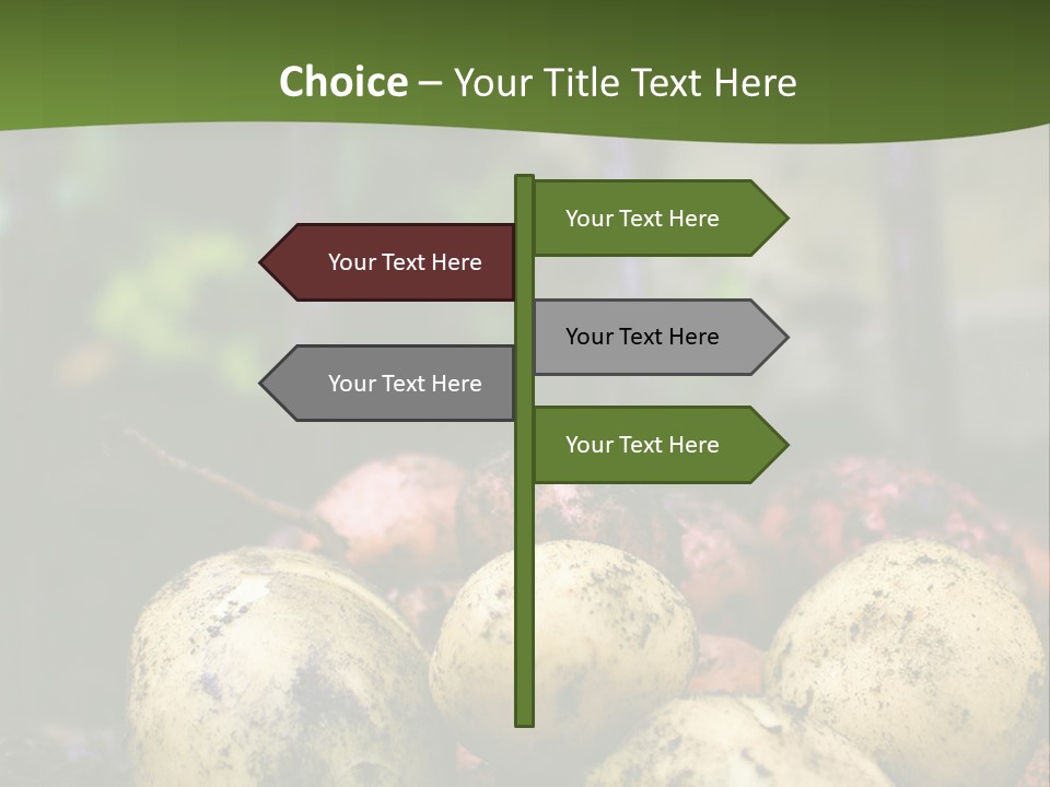A First Harvest Of Organically Grown New Potatoes, Freshly Dug From The Ground Lying On Top Of The Soil, With A Garden Fork In The Background. PowerPoint Template