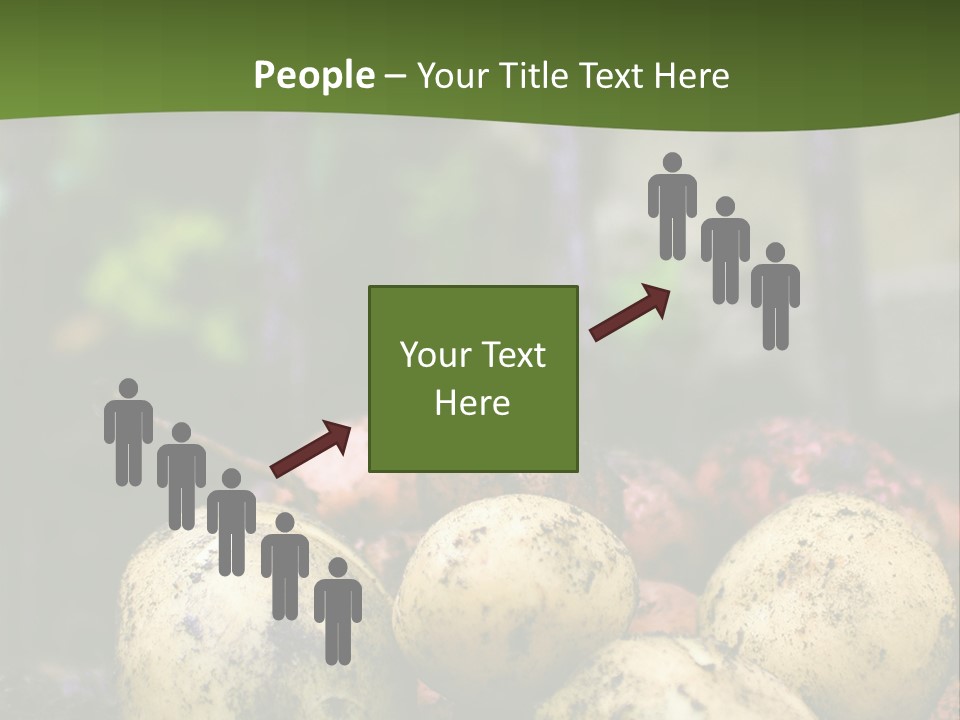 A First Harvest Of Organically Grown New Potatoes, Freshly Dug From The Ground Lying On Top Of The Soil, With A Garden Fork In The Background. PowerPoint Template