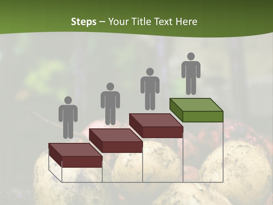 A First Harvest Of Organically Grown New Potatoes, Freshly Dug From The Ground Lying On Top Of The Soil, With A Garden Fork In The Background. PowerPoint Template