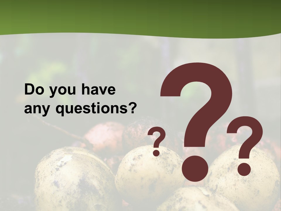 A First Harvest Of Organically Grown New Potatoes, Freshly Dug From The Ground Lying On Top Of The Soil, With A Garden Fork In The Background. PowerPoint Template