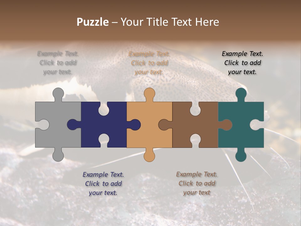 Close Up Of A Large Catfish PowerPoint Template