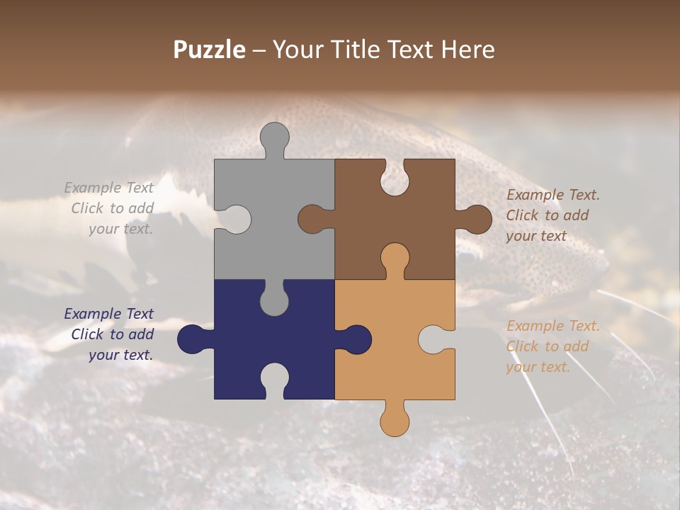 Close Up Of A Large Catfish PowerPoint Template