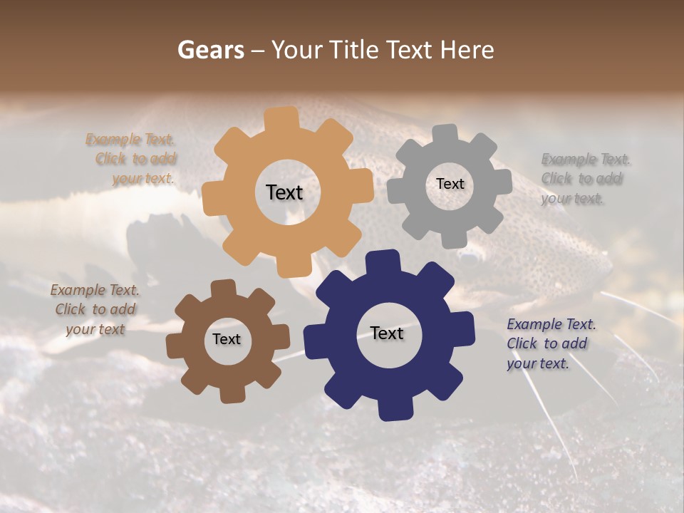 Close Up Of A Large Catfish PowerPoint Template