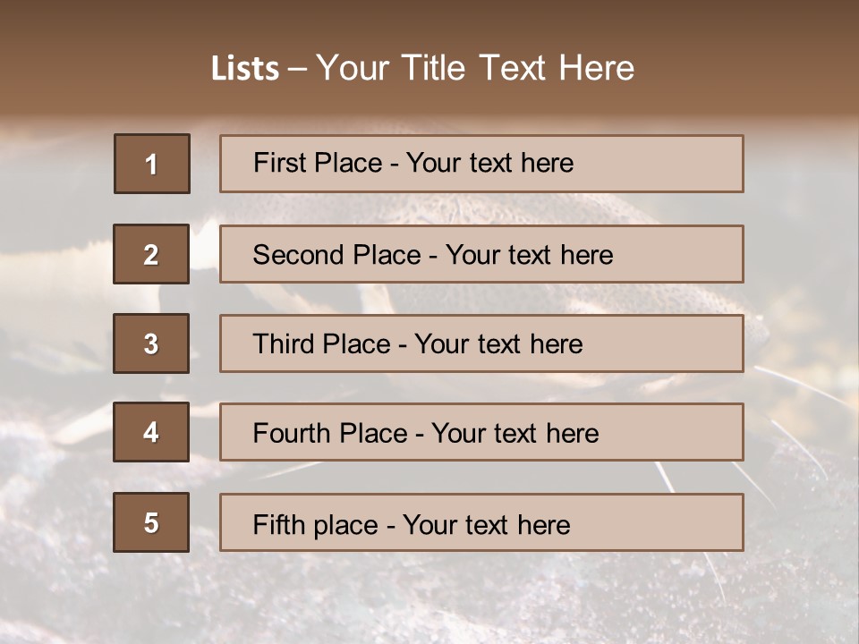 Close Up Of A Large Catfish PowerPoint Template