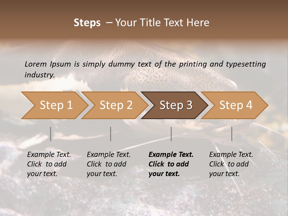 Close Up Of A Large Catfish PowerPoint Template