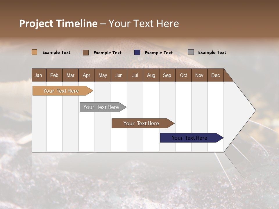 Close Up Of A Large Catfish PowerPoint Template