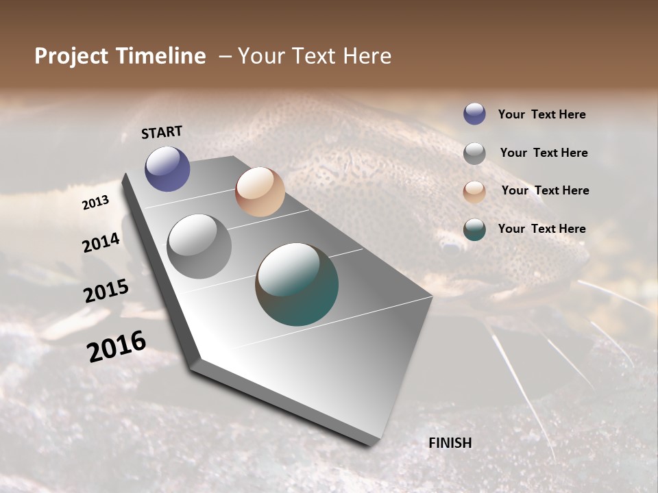 Close Up Of A Large Catfish PowerPoint Template