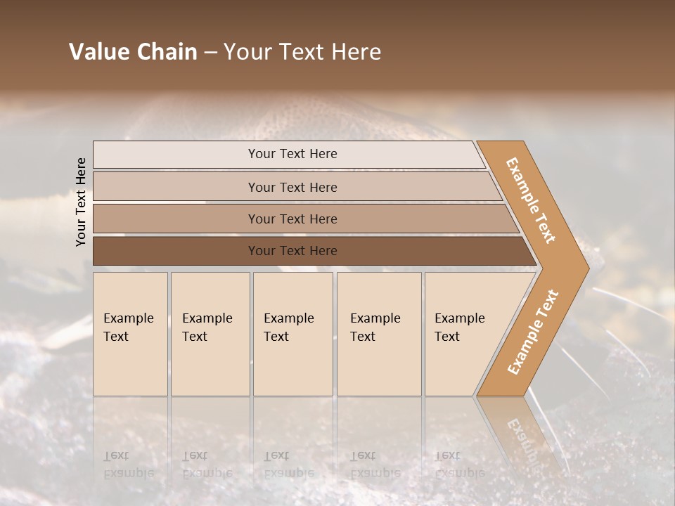 Close Up Of A Large Catfish PowerPoint Template
