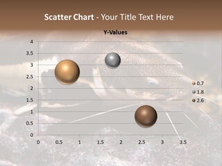 Close Up Of A Large Catfish PowerPoint Template