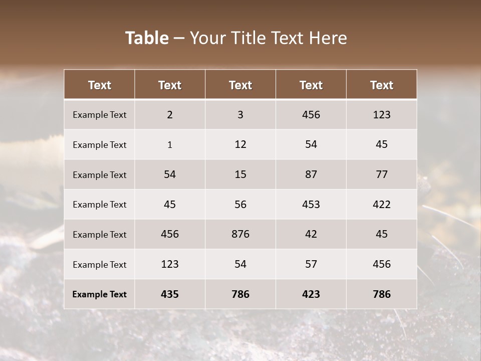 Close Up Of A Large Catfish PowerPoint Template