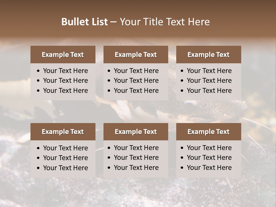 Close Up Of A Large Catfish PowerPoint Template