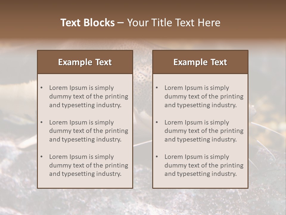Close Up Of A Large Catfish PowerPoint Template