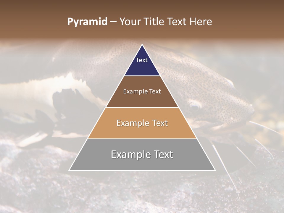 Close Up Of A Large Catfish PowerPoint Template