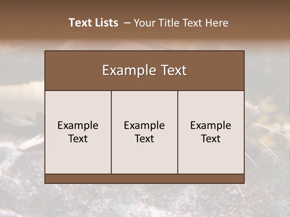 Close Up Of A Large Catfish PowerPoint Template