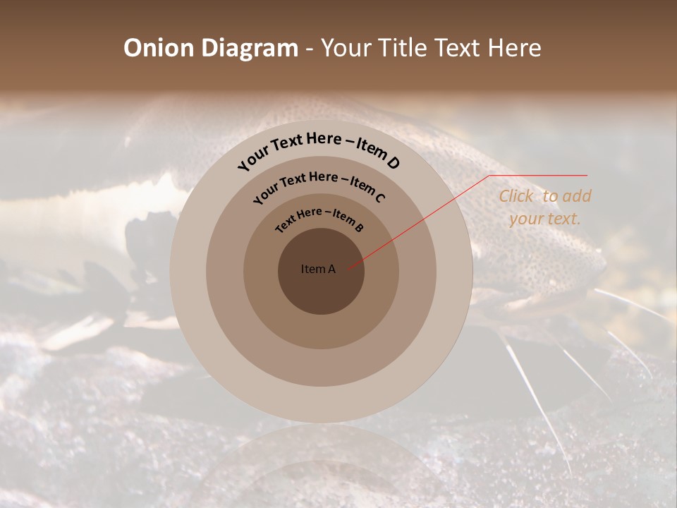 Close Up Of A Large Catfish PowerPoint Template