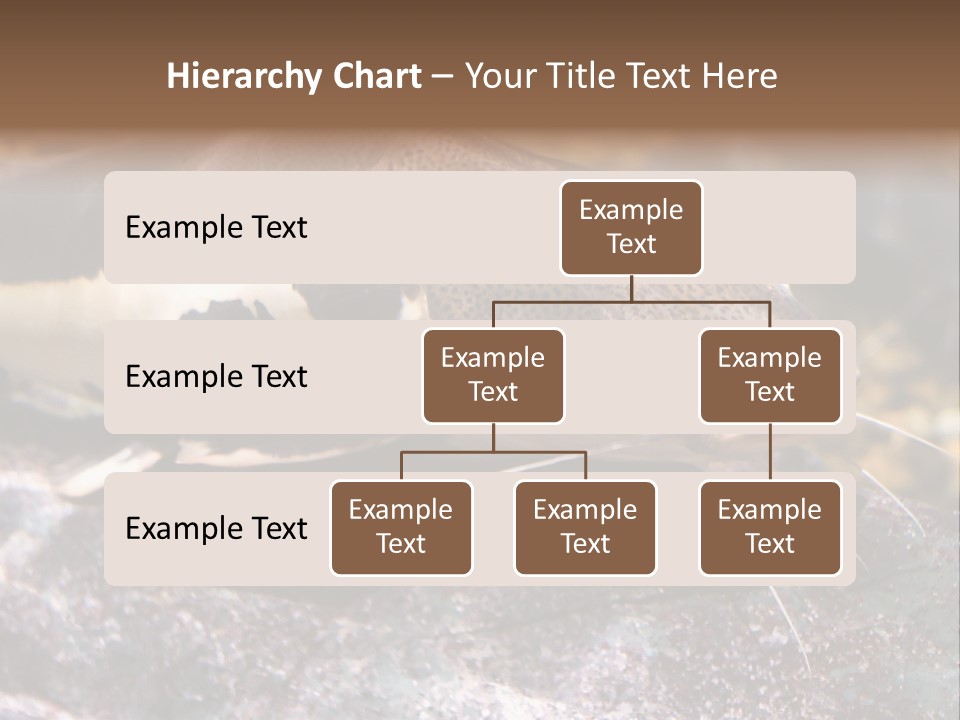 Close Up Of A Large Catfish PowerPoint Template