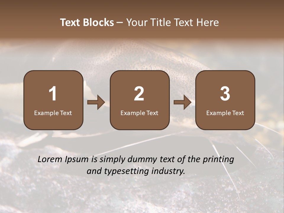 Close Up Of A Large Catfish PowerPoint Template