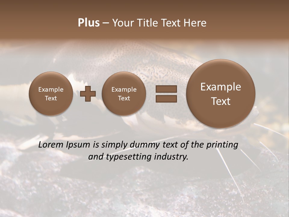Close Up Of A Large Catfish PowerPoint Template