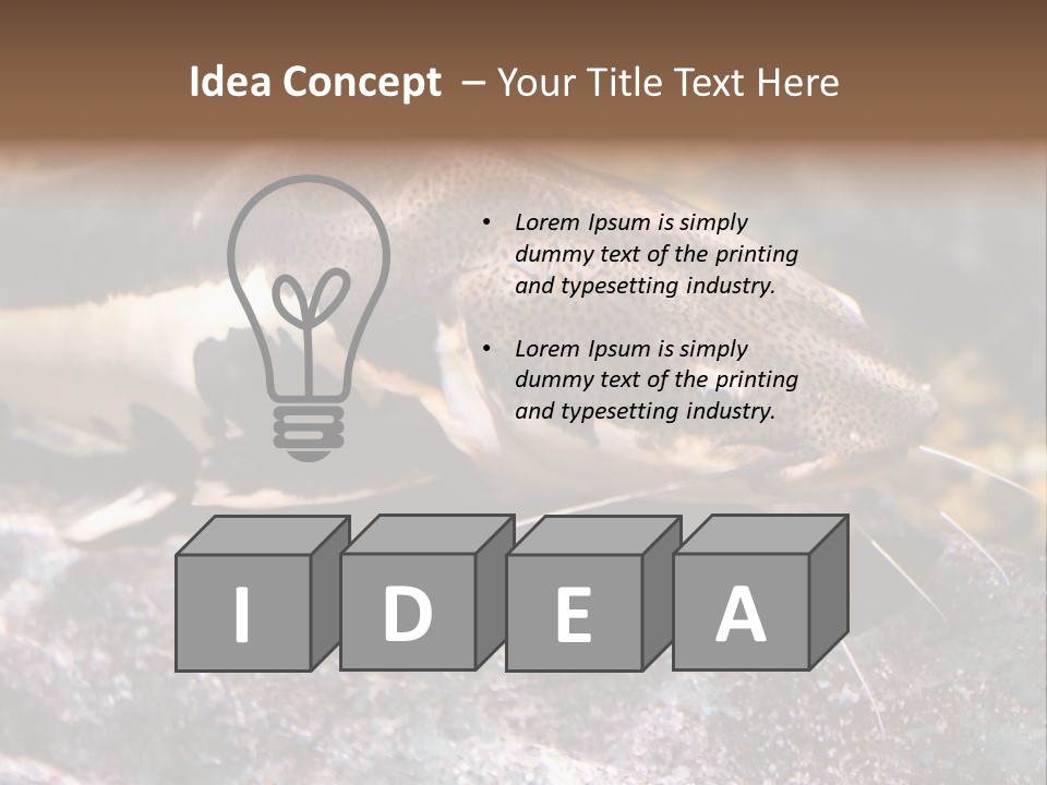 Close Up Of A Large Catfish PowerPoint Template