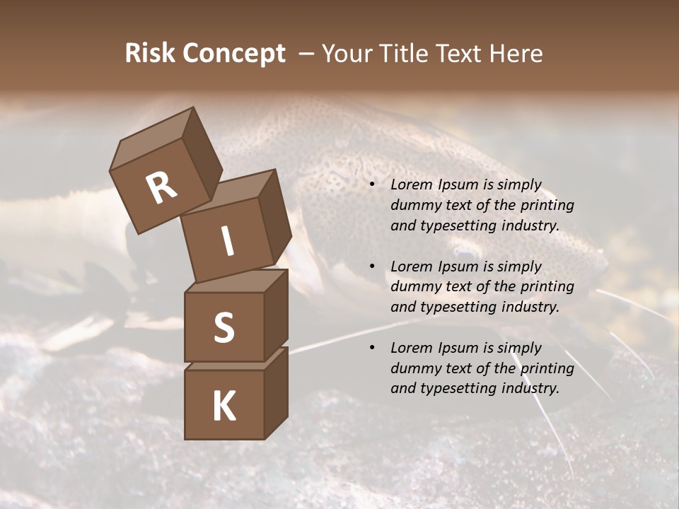 Close Up Of A Large Catfish PowerPoint Template