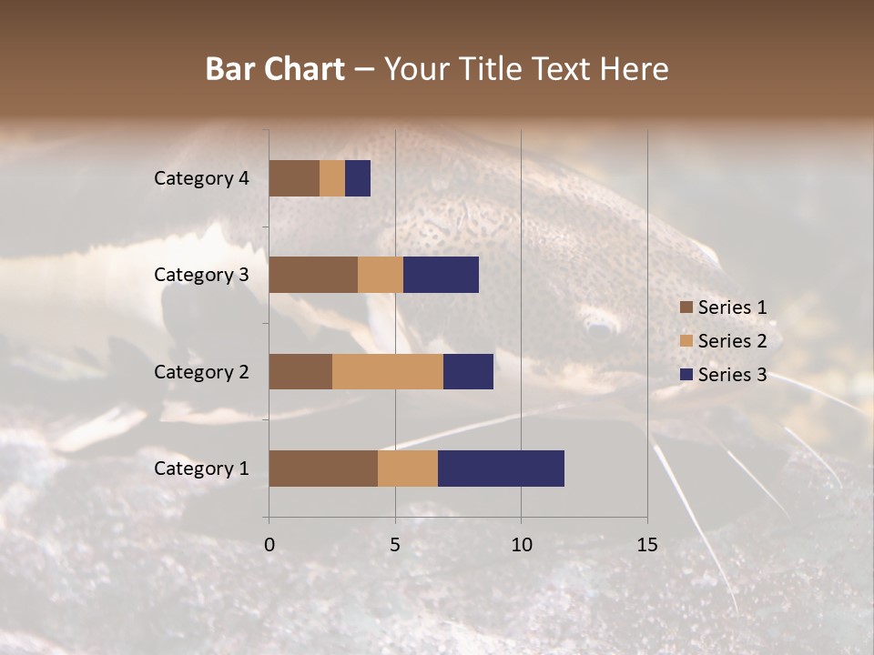Close Up Of A Large Catfish PowerPoint Template