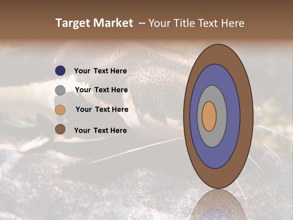 Close Up Of A Large Catfish PowerPoint Template