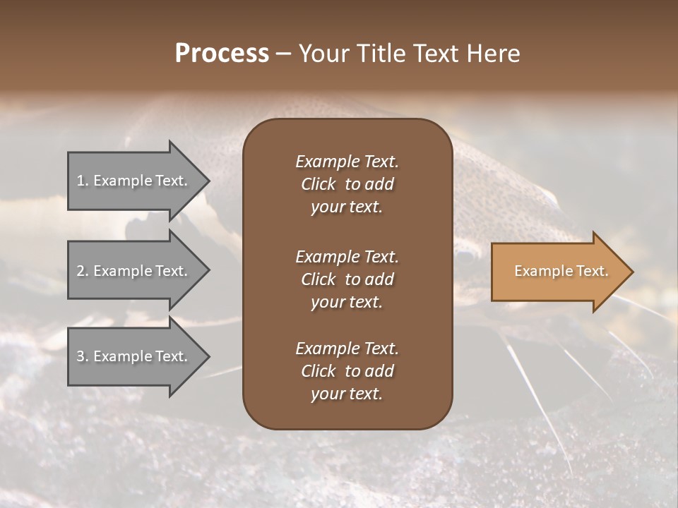 Close Up Of A Large Catfish PowerPoint Template