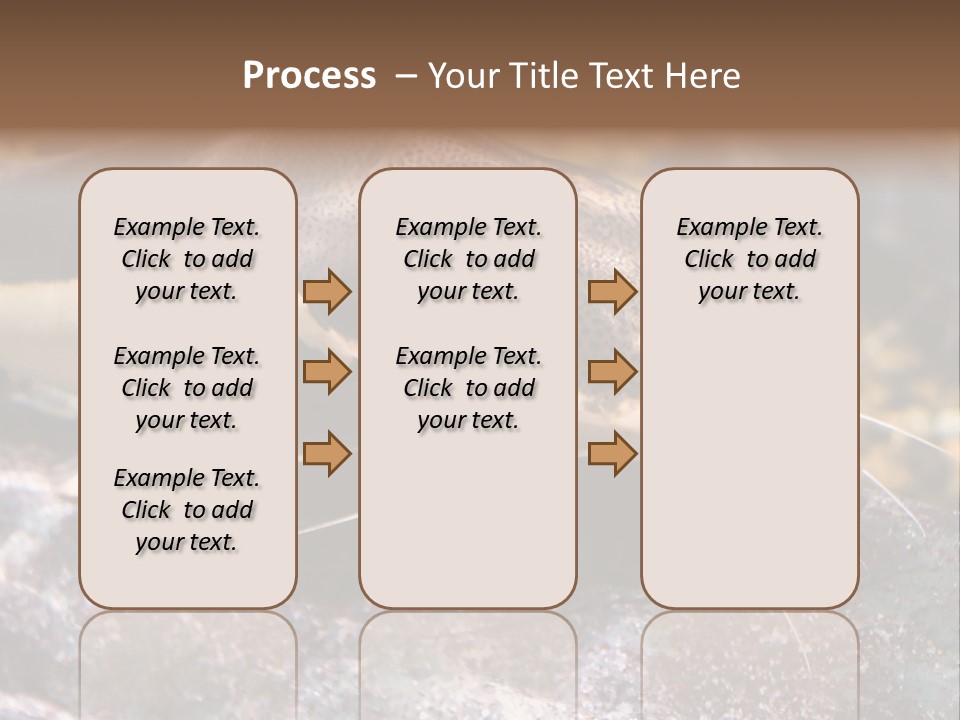 Close Up Of A Large Catfish PowerPoint Template