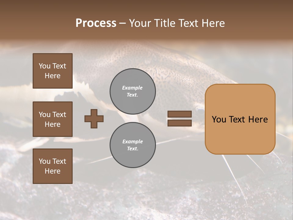 Close Up Of A Large Catfish PowerPoint Template