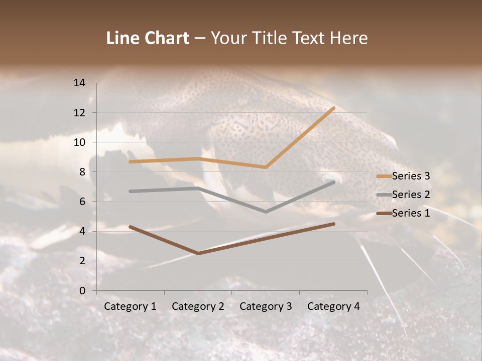 Close Up Of A Large Catfish PowerPoint Template