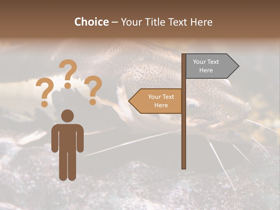 Close Up Of A Large Catfish PowerPoint Template