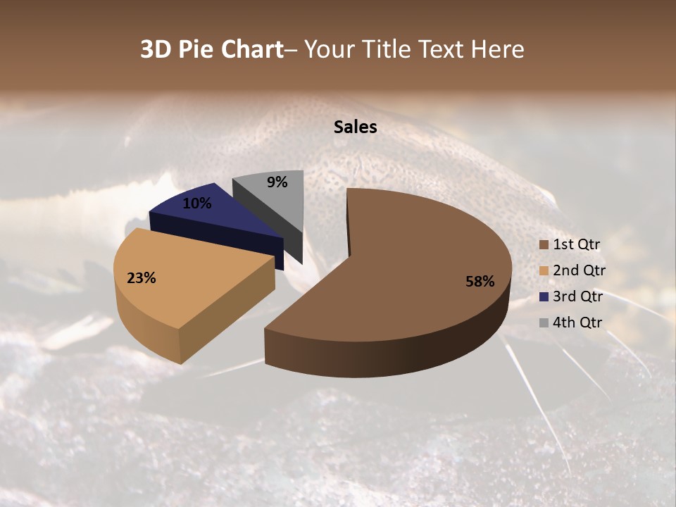 Close Up Of A Large Catfish PowerPoint Template