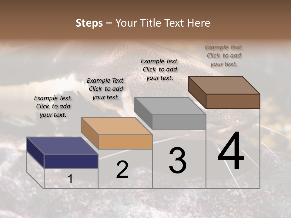 Close Up Of A Large Catfish PowerPoint Template