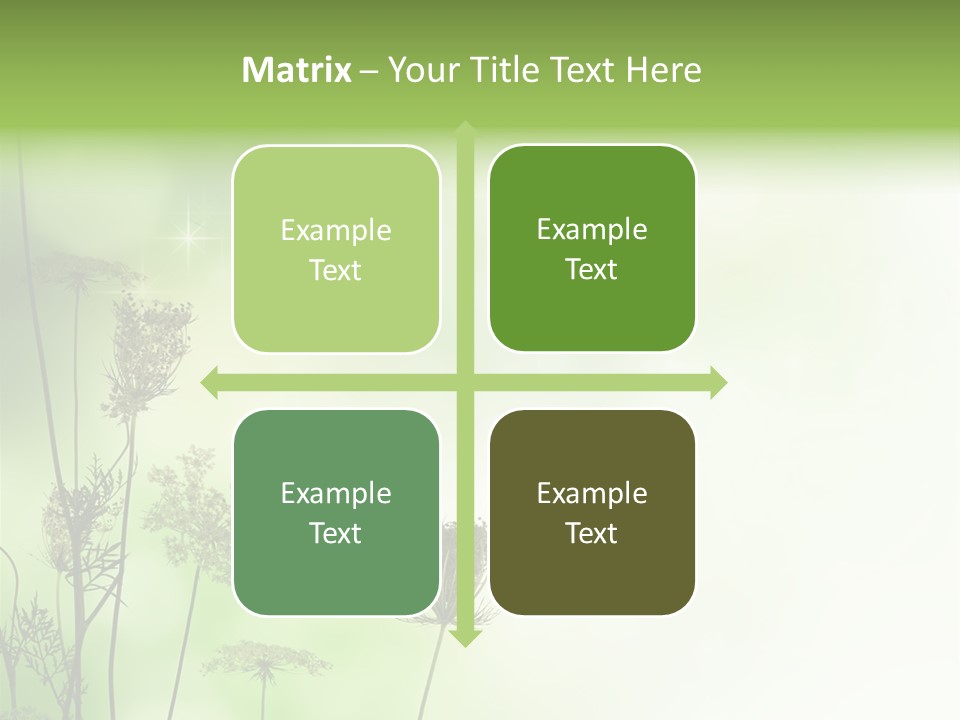 Tea Leaves And Teapot On White Background PowerPoint Template