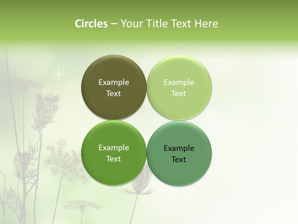 Tea Leaves And Teapot On White Background PowerPoint Template