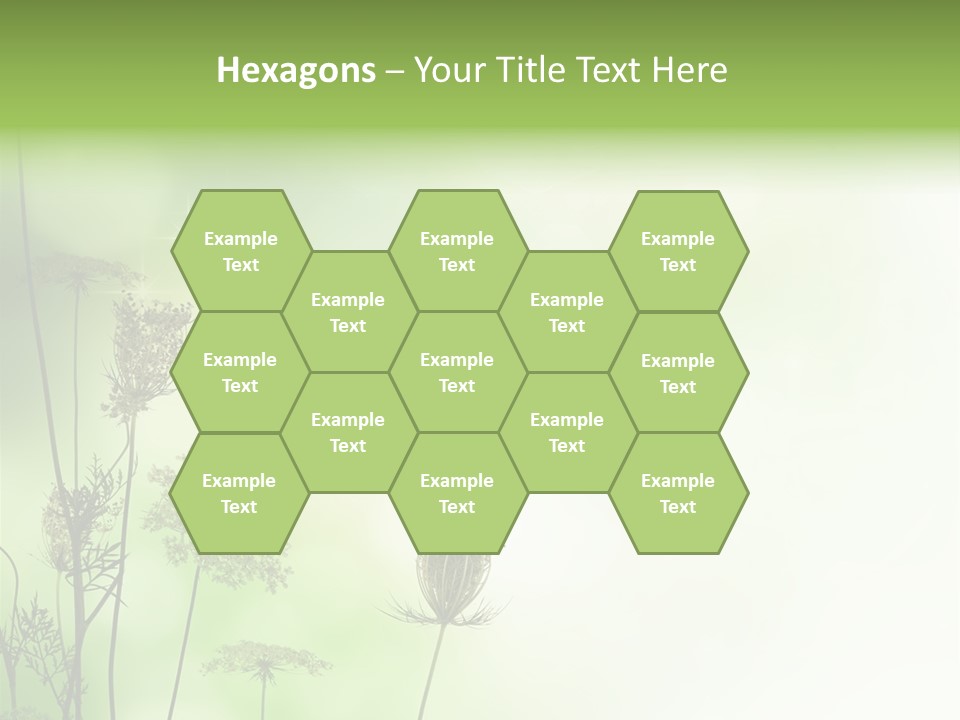 Tea Leaves And Teapot On White Background PowerPoint Template