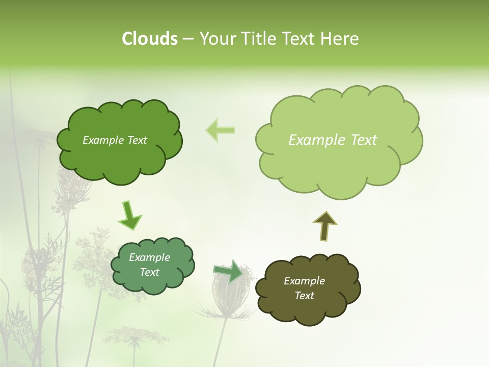 Tea Leaves And Teapot On White Background PowerPoint Template